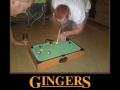Gingers