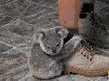 Literally so cute it hurts