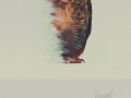 Double exposure animals