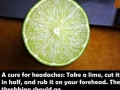 I bet you didn't know..