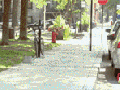 Lottery ticket prank