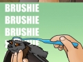 Brushie brushie brushie