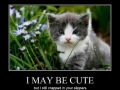 Might be cute..