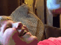 Playing with his brother