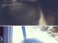 Dogs that love car rides
