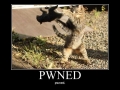 PWNED