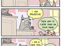 Paw and order