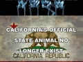 Random facts