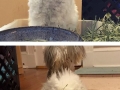 Meet Wally