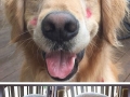 This will make you smile