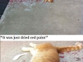 Sad story