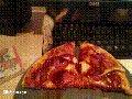 Cat stealing pizza