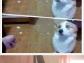 It's not what it looks like
