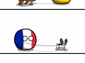 Man's best friend
