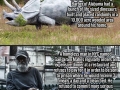 Random interesting facts