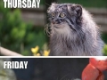 Every single week