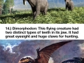 Extinct creatures