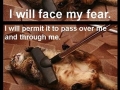 I must not fear