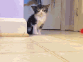 I totally meant to do that