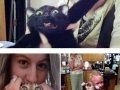 Cats that don't like cuddling