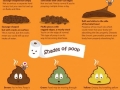 Know your sh*t