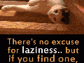 Meet the laziest cat ever!