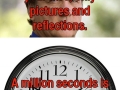 One sentence facts