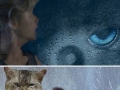 Purrassic park!