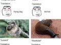 Dutch names for animals