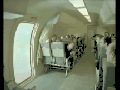 Captain flies away