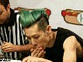 My bet is on the hamster