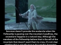 LOTR Facts part 8