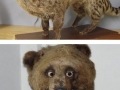 Taxidermy gone wrong