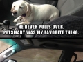 The look of satisfaction