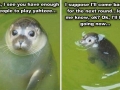 Poor little guy