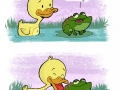 Poison frog