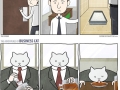 Adventures of business cat