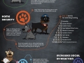 Benefits of owning a dog