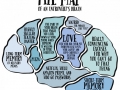 Brain of an introvert