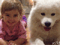 Not sure which one's guilty