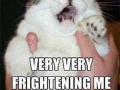 Bohemian Rhapsody meme