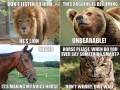 Baby don't herd me