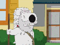 Outside dog