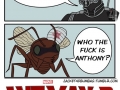 Anthony is back