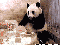 Panda gets the bill