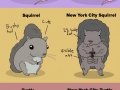 New York City animals