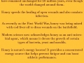 Bees and honey facts