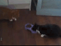 You're done eating, right?