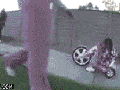Parent of the year