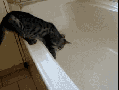 I made a horrible mistake!